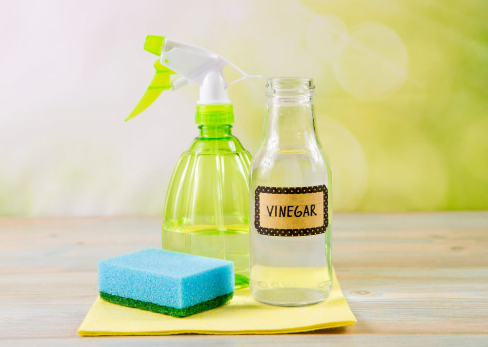 Vinegar, spray bottle and a sponge