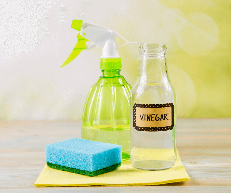 Vinegar, spray bottle, and sponge