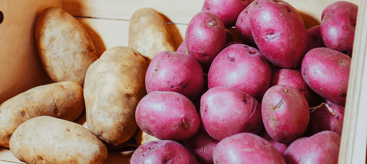 Red and white potatoes in a crate. Image credit: Kindel Media