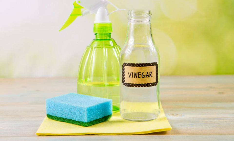 A bottle of vinegar and a blue sponge and spray bottle